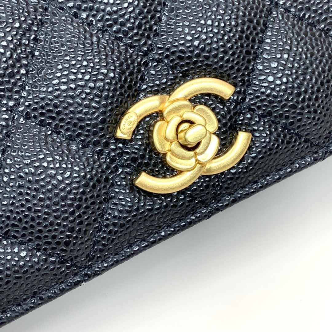Premium Cavier Wallet on Chain - Image 9